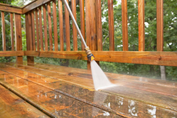 Best Dumpster Area Cleaning  in Horace, ND